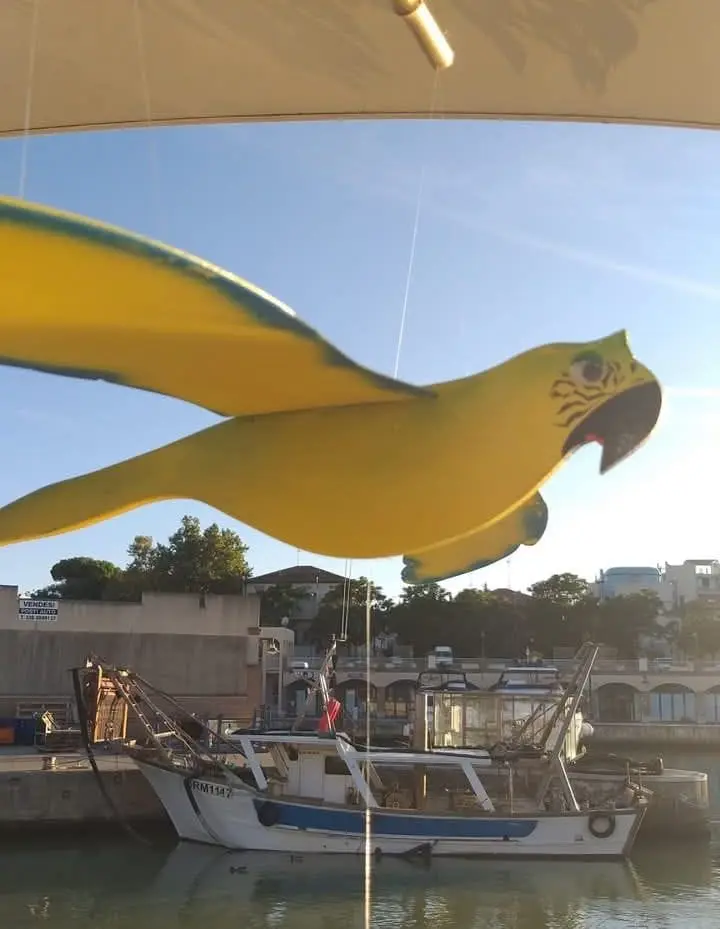 Gabbiano Giallo